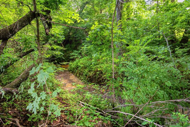 1193 Prestons Way, Goodlettsville, TN 37072