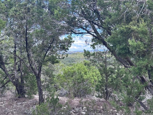 214 Restless Wind, Spring Branch, TX 78070