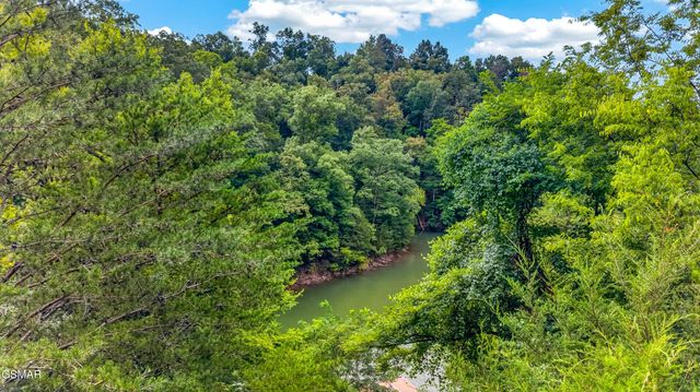 429 Filet Lane, Dandridge, TN 37725
