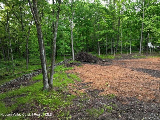 154 Forest Hill Drive, Kingston, NY 12401