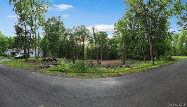 154 Forest Hill Drive, Kingston, NY 12401