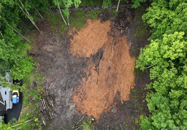 154 Forest Hill Drive, Kingston, NY 12401