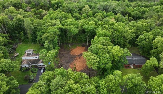 154 Forest Hill Drive, Kingston, NY 12401