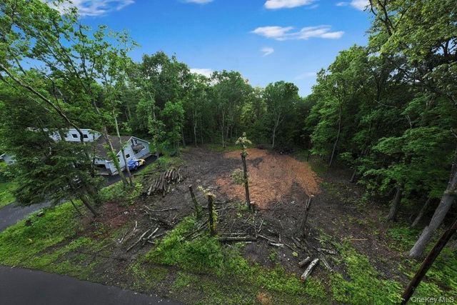 154 Forest Hill Drive, Kingston, NY 12401