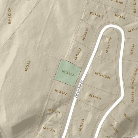 154 Forest Hill Drive, Kingston, NY 12401