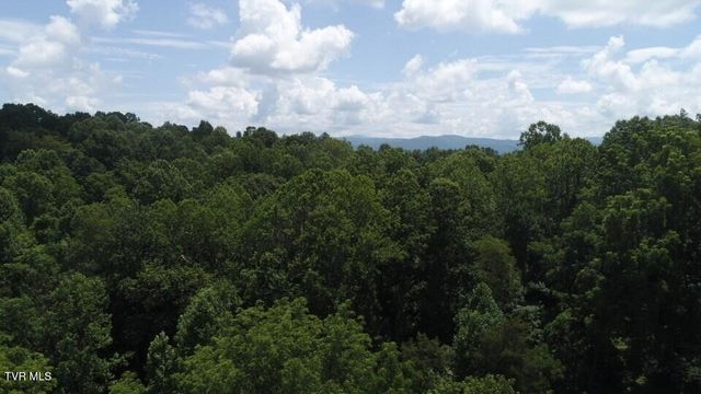 0 Pocahontas Trail, Glade Spring, VA 24340