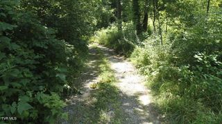 0 Pocahontas Trail, Glade Spring, VA 24340