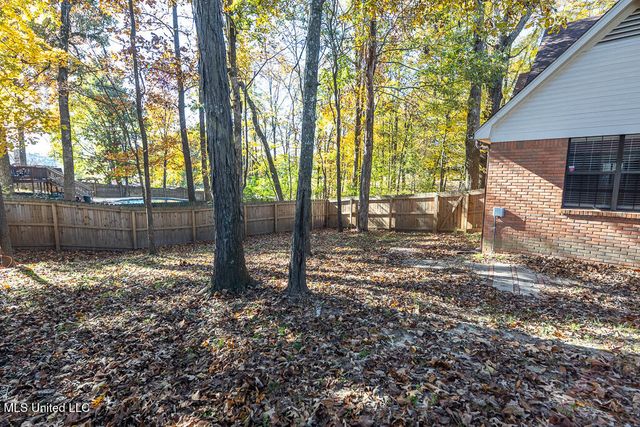 2730 Beaver Head Drive, Nesbit, MS 38651