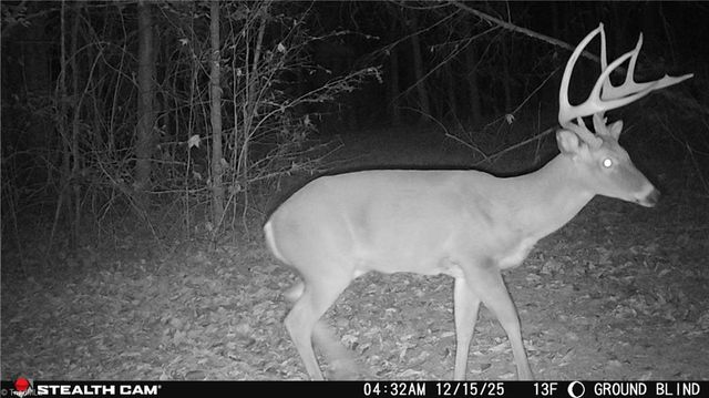 377 Concrete Works Road, Winston-salem, NC 27107