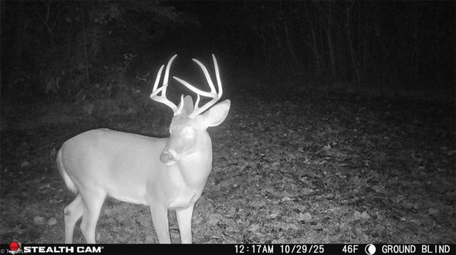 377 Concrete Works Road, Winston-salem, NC 27107