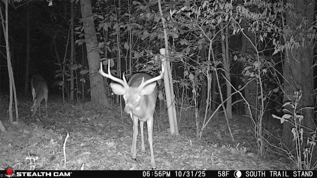 377 Concrete Works Road, Winston-salem, NC 27107