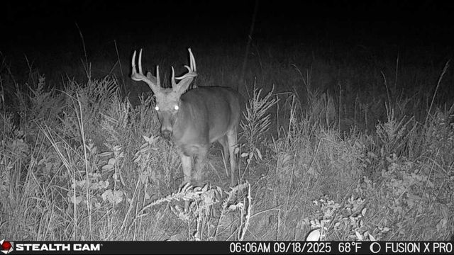 2715 Kelly Road, Mapleton, KS 66754