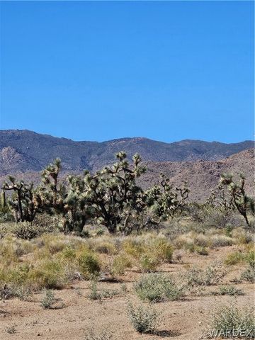 UNK Alamo Road, Yucca, AZ 86438