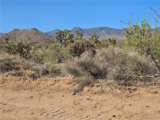 UNK Alamo Road, Yucca, AZ 86438