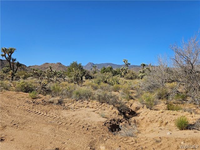 UNK Alamo Road, Yucca, AZ 86438