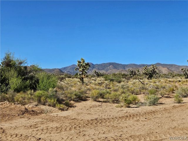 UNK Alamo Road, Yucca, AZ 86438