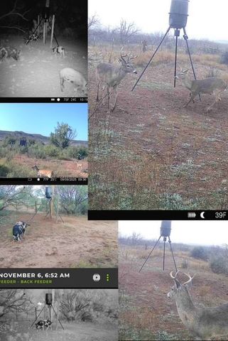 475 County Road 321, Abilene, TX 79606