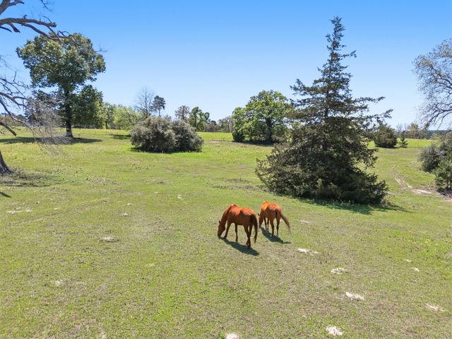 689 & 691 FM 1272, Grapeland, TX 75844