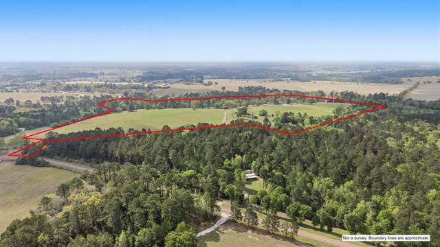 689 & 691 FM 1272, Grapeland, TX 75844