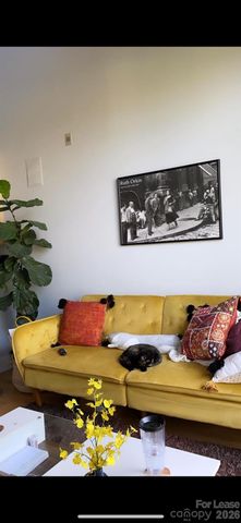 115 E Park Avenue 423, Charlotte, NC 28203