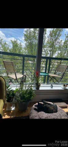 115 E Park Avenue 423, Charlotte, NC 28203