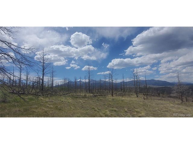 321 Hagin Ln, Fort Garland, CO 81133