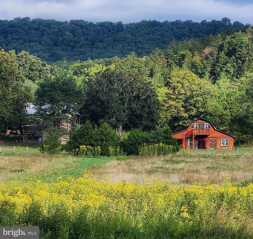 45 COUGAR HOLLOW RD, Romney, WV 26757
