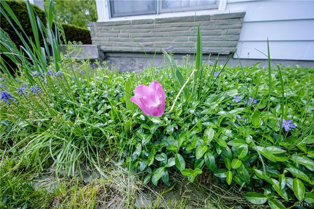 308 Raphael Avenue, Salina, NY 13211