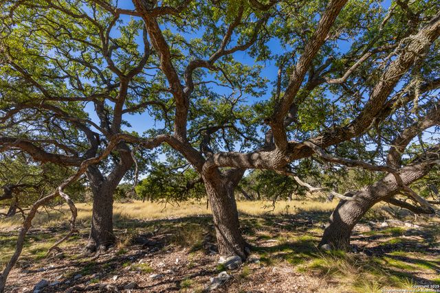 000 Cattlemans Crossing Dr, Kerrville, TX 78023