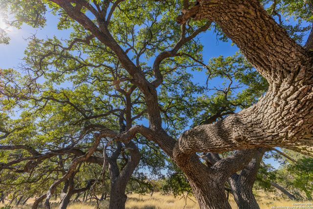 000 Cattlemans Crossing Dr, Kerrville, TX 78023