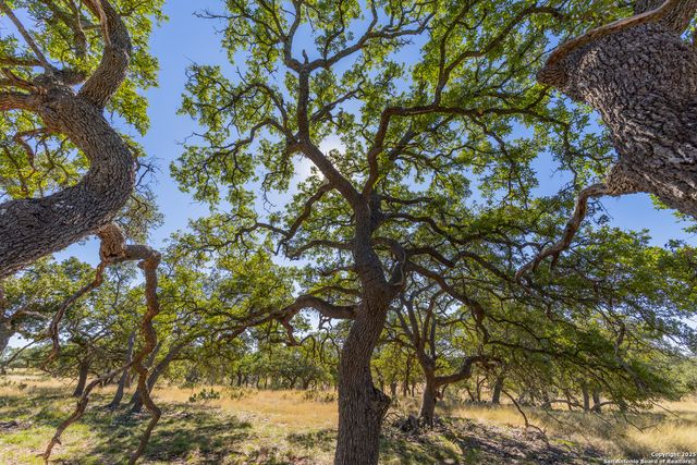 000 Cattlemans Crossing Dr, Kerrville, TX 78023