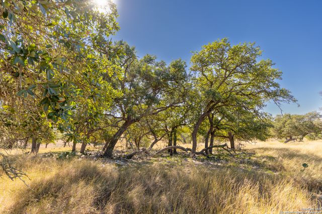 000 Cattlemans Crossing Dr, Kerrville, TX 78023