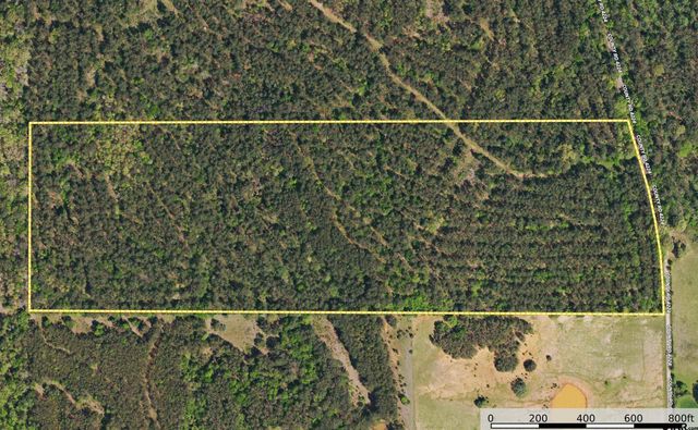 Tract 21 CR 4224, Frankston, TX 75763