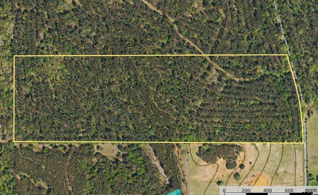 Tract 21 CR 4224, Frankston, TX 75763