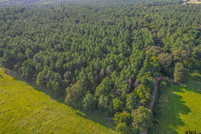 Tract 21 CR 4224, Frankston, TX 75763