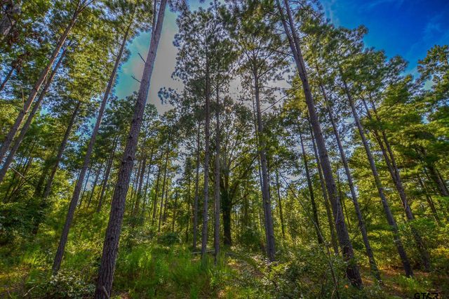 Tract 21 CR 4224, Frankston, TX 75763