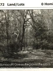 0 Hominy Hill Road, Colts Neck, NJ 07722