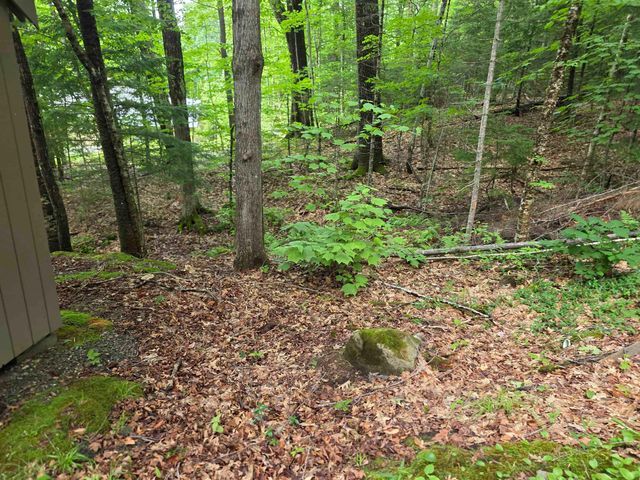 429 Perch Pond Road, Campton, NH 03223