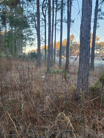 143 County Road 5003, Cleveland, TX 77327