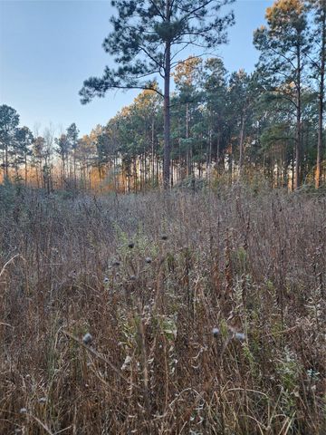 143 County Road 5003, Cleveland, TX 77327