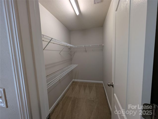 8419 Candlenut Lane, Charlotte, NC 28215