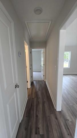 Lot 1 Storm Branch Road, Beech Island, SC 29842