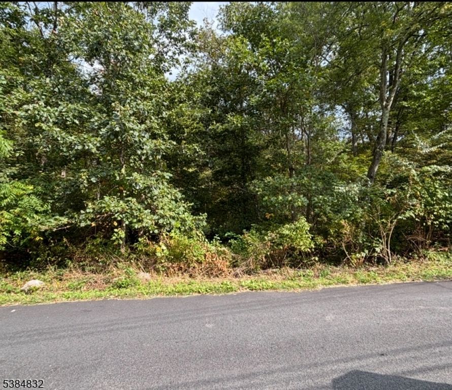7 Rt 206, Byram Twp., NJ 07874