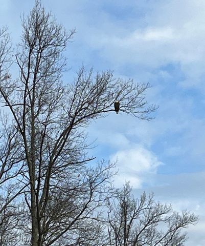 6688 Amber Way, North Ridgeville, OH 44039