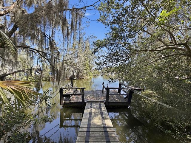 14339 RICE ROAD, Hudson, FL 34667