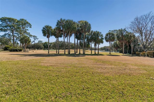 29244 WHIPPORWILL LANE, Wesley Chapel, FL 33543