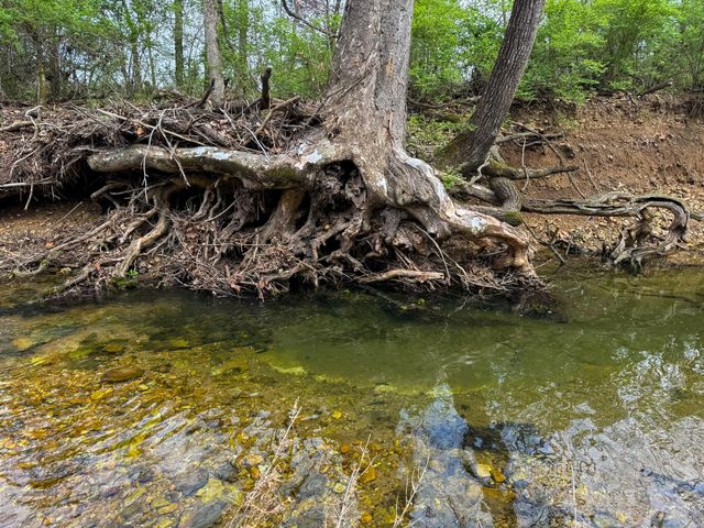 2056 Dennis Road, Mansfield, MO 65704