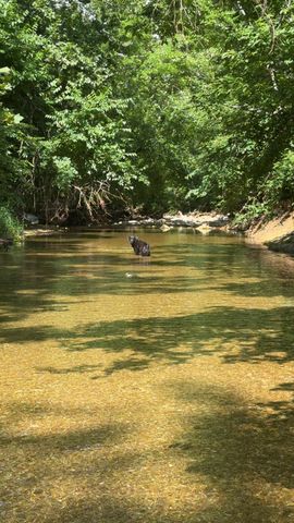 2056 Dennis Road, Mansfield, MO 65704