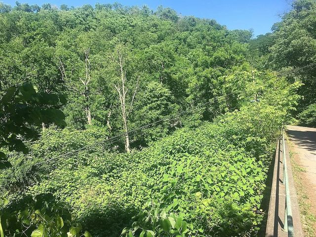 262 57th St, Lawrenceville, PA 15201