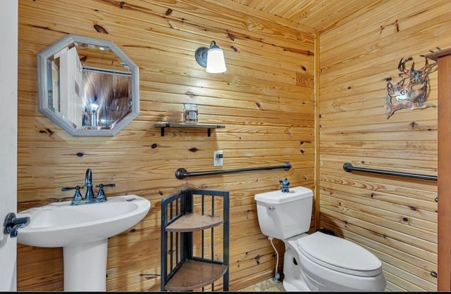 3519 Owl Hollow Rd, Linden, TN 37096